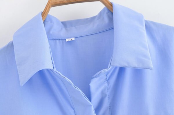 Women's Design Sense Poplin Dress