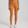 Women's Fitted Nylon Leggings (15 Colors)