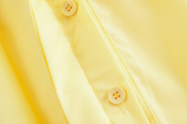 Women's Design Sense Poplin Dress