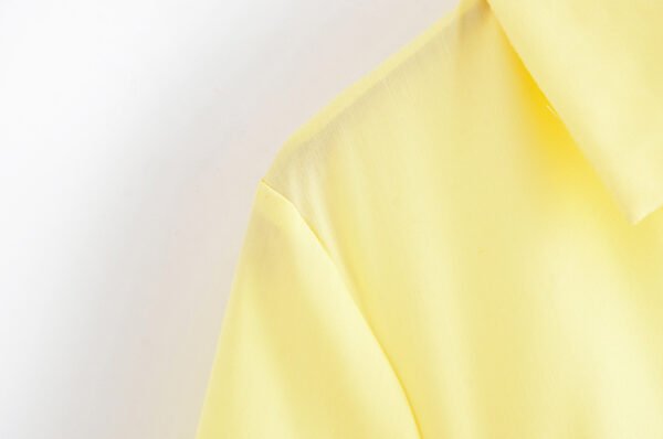 Women's Design Sense Poplin Dress