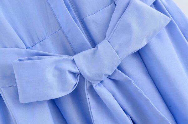 Women's Design Sense Poplin Dress